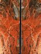 Tall, Arizona Petrified Wood Bookends - Red & Black #131794-2
